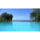 La Diosa Roatan Infinity pool.jpg